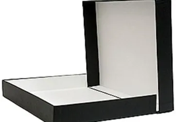 An open black museum box with a white lining